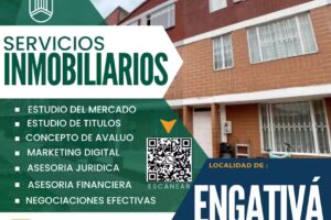 Acciones y Bienes Inmobiliarios (Inmobiliaria)