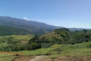 ADMINISTRACIONES E INMOBILIARIA INNOVACION SAS