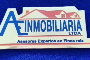 AE INMOBILIARIA S.A.S MADRID