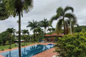 AMOBLADOS PIEDRAH&Iacute;TA PENAGOS