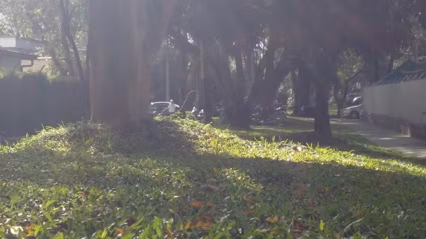 Arrendamientos Mabel Ochoa SAS