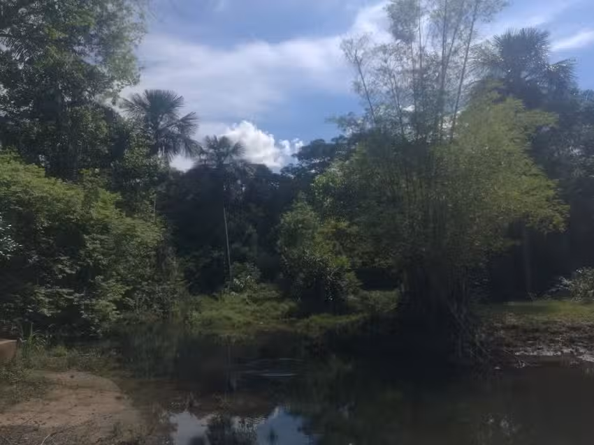 AVALUOS Y CONSULTOR&Iacute;AS