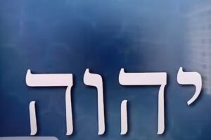 B&C ASESORIAS INTEGRALES S.A.S