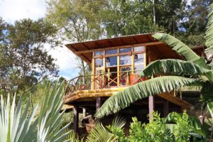 Baumhaus San Francisco