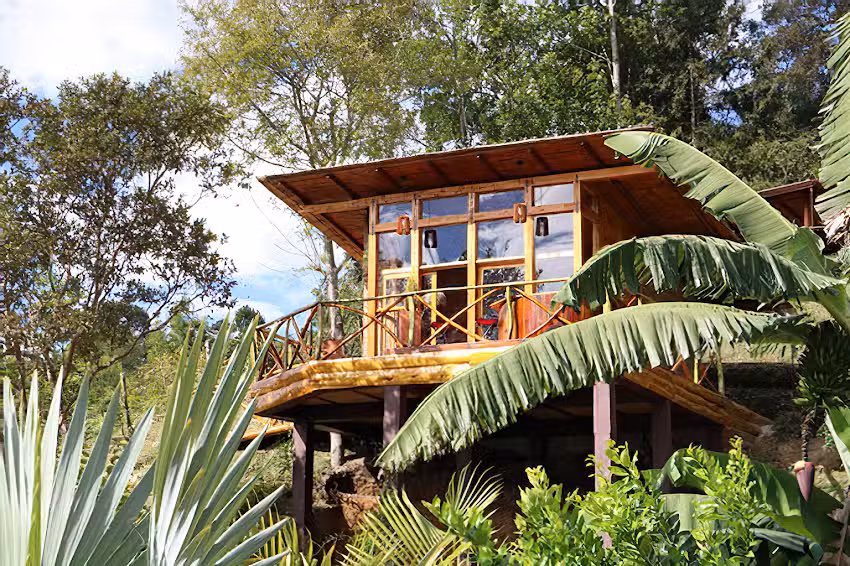 Baumhaus San Francisco