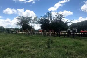 Bienes ra&iacute;ces polo