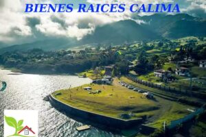 Bienes y fincas calima