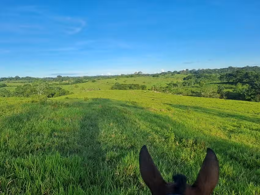 Bienshop: Bienes Ra&iacute;ces Montiel
