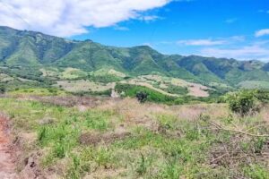 Bosques de Jerusal&eacute;n Cundinamarca