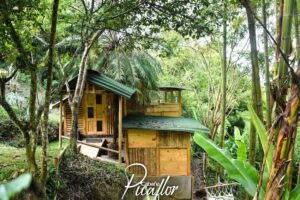 Caba&ntilde;a Cali &ndash; Caba&ntilde;a en Cali