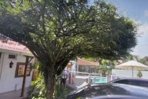 Casa Hotel la Casona