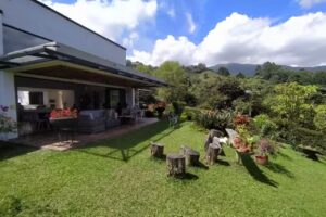 CASA VERDE -BIEN RA&Iacute;Z &ndash; ALIADO K W