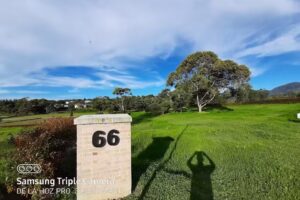 Centro De Servicios Y Propiedad Raiz