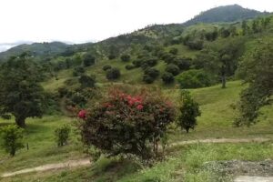 Condominio Campestre La Fortuna