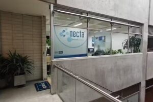 Conecta Negocios Eficientes