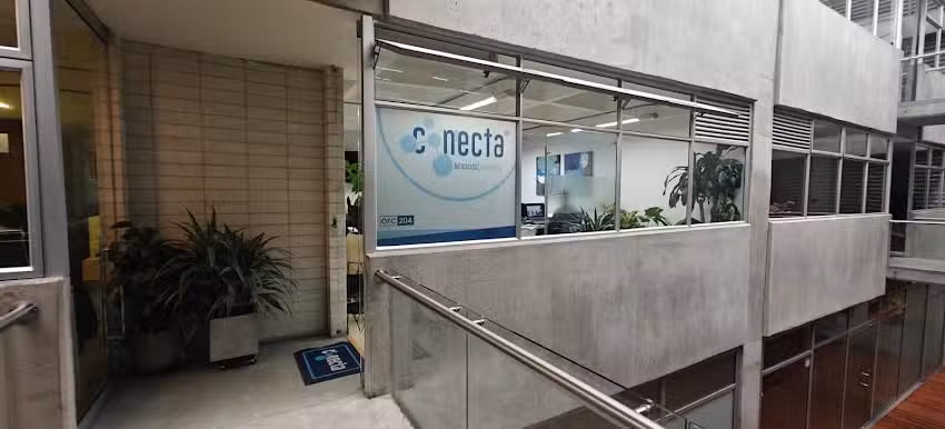 Conecta Negocios Eficientes