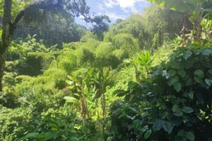 Consultar Inmobiliaria Colombia