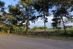 CORPORACION MUJER EMPRENDE