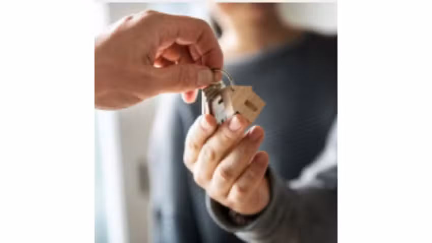 cuidamos tu patrimonio