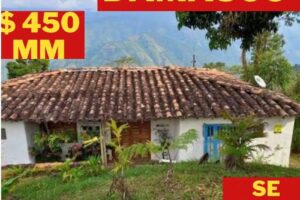 DINAMICA INMOBILIARIA