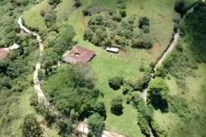 Duque Giraldo y Cia S.A.S Sucursal Envigado