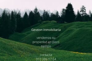 Efectivos propiedad raíz