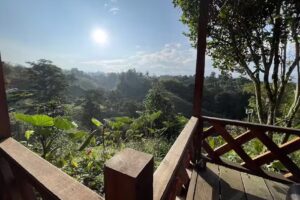 Finca De La Cascada Secreta