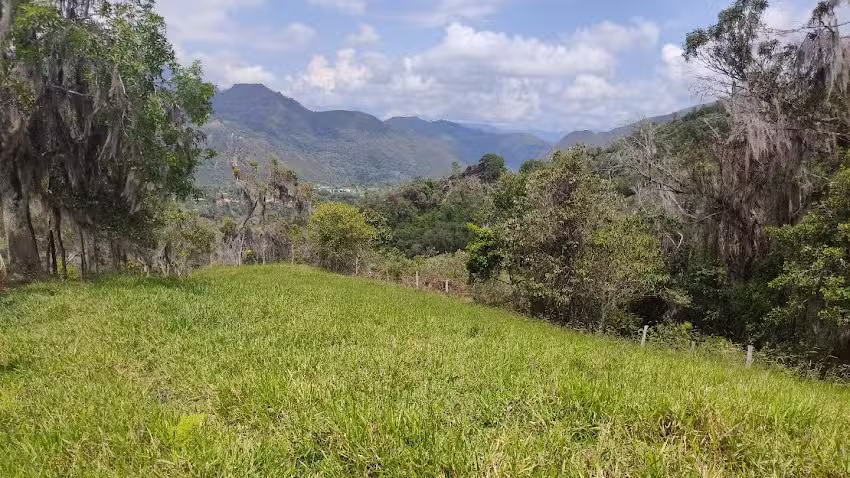 Finca Ra&iacute;z Pacho