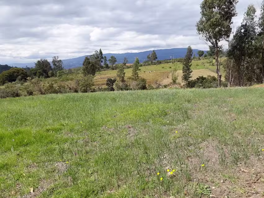 Finca Ra&iacute;z Villa de Leyva