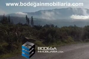 Finca Raiz Villa de Leyva Bodega Inmobiliaria