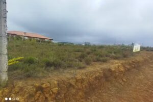 Fincas , ventas, lotes y alquiler ,mesa de los santa.