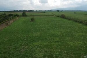 FLOREZVA PARCELACION CAMPESTRE