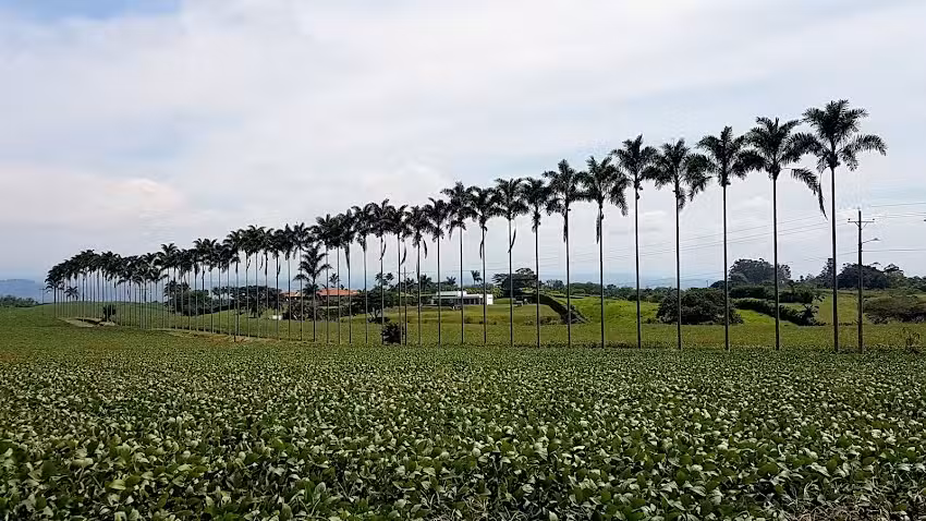 Fotoinmuebles inmobiliaria