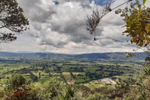 Infinity Sabana Inmobiliaria