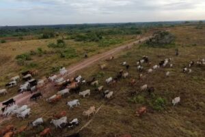 Inmobiliaria del Oriente Ltda (Avaluos,Arriendos y Ventas)