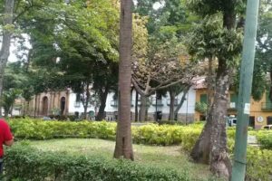 Inmobiliaria Hogar Local