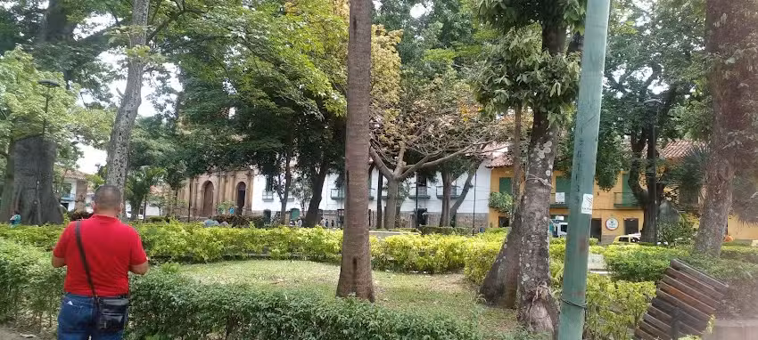 Inmobiliaria Hogar Local