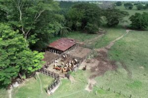 Inmobiliaria Vitrina Urbana