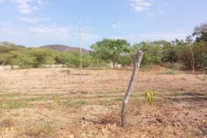 Inmogestores &ndash; Soluciones en Bienes Raices