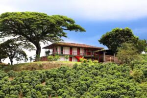 Inmuebles Giraldo eje cafetero