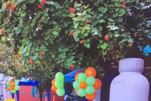 Inversiones Distriagro sas