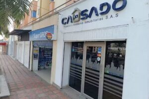Inversiones inmobiliarias causado s.a.s.