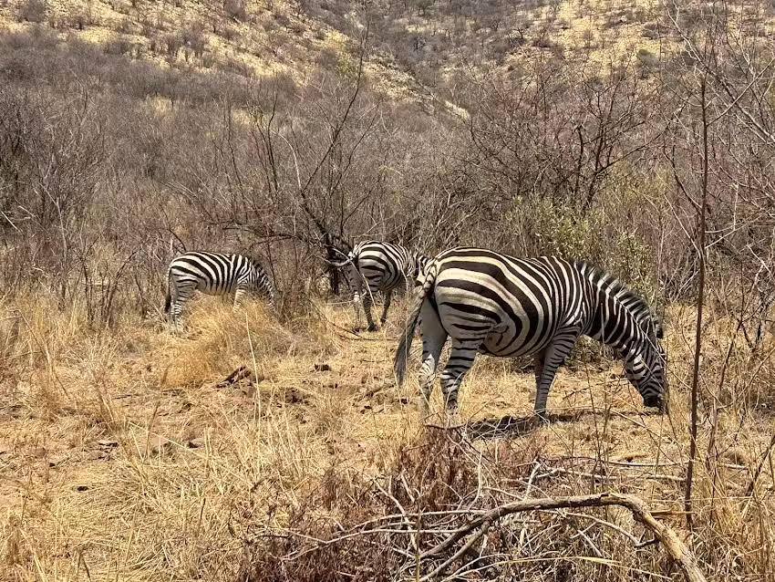 Iracaita Vista Hermosa