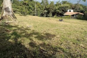 Juan Garc&iacute;a Rodr&iacute;guez Campo Real Inmobiliaria Lotes y Fincas