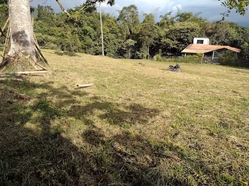Juan Garc&iacute;a Rodr&iacute;guez Campo Real Inmobiliaria Lotes y Fincas