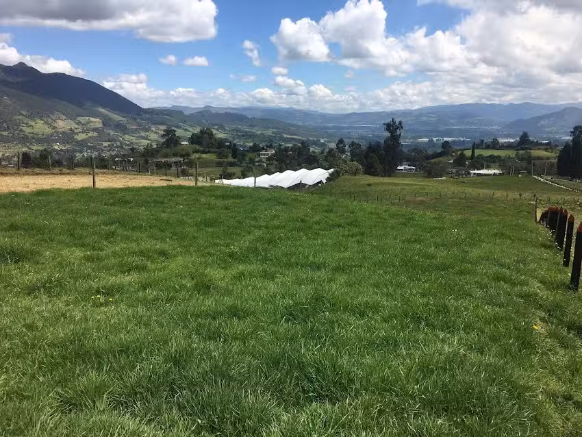 Kasalov inmobiliaria