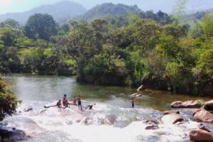 LA NATUARALEZA TE LLAMA