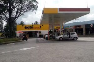 Luis H Londo&ntilde;o Finca Ra&iacute;z