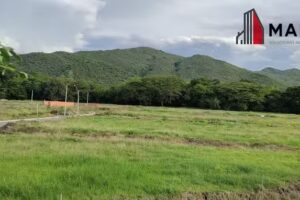 Marjell Soluciones Inmobiliarias e Inversión