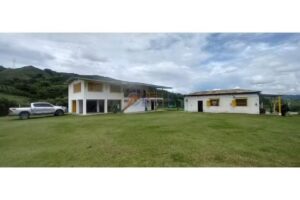 Miguel Negocios Inmobiliarios